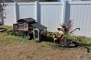 206 Amber Way, Kissimmee, FL 34758 - Photo 55