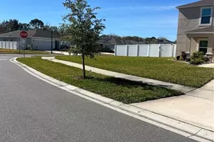 206 Amber Way, Kissimmee, FL 34758 - Photo 43