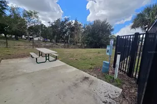 936 Grandin St, Davenport, FL 33837 - Photo 21