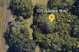 103 Hardee Way, Rotonda West, FL 33947 - Photo 1