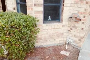 1808 Foxhall Cir, Kissimmee, FL 34741 - Photo 7