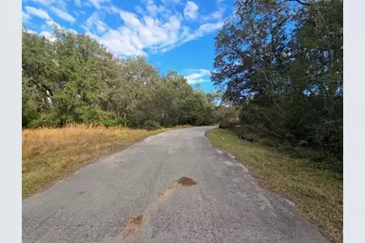 211 Starling Court, Kissimmee, FL 34759 - Photo 5