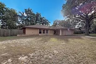 209 1st St, Tavares, FL 32778 - Photo 1