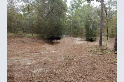 0 NE 105th Ave, Bronson, FL 32621 - Photo 1