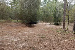 0, Bronson, FL 32621 - Photo 1