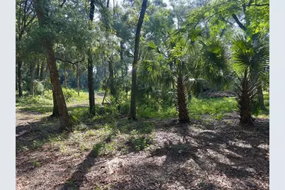 2265 Crooked, Deland, FL 32720 - Photo 7