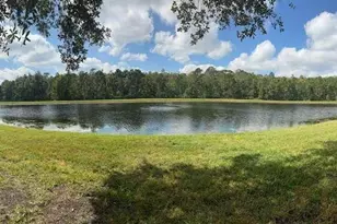 3460 Victoria Pines Dr, Orlando, FL 32829 - Photo 27