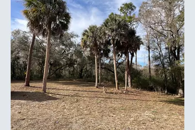 4850 N Ladybug Drive, Crystal River, FL 34428 - Photo 13