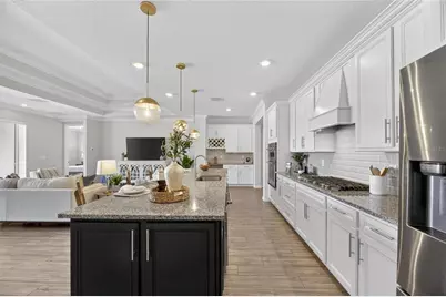 18535 Coastal Shore Terrace, Land O Lakes, FL 34638 - Photo 11