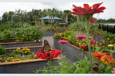 18535 Coastal Shore Terrace, Land O Lakes, FL 34638 - Photo 89