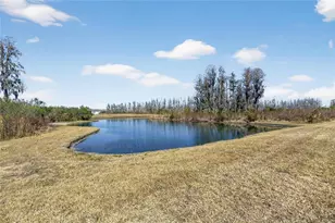 18535 Coastal Shr Ter, Land O Lakes, FL 34638 - Photo 53