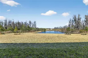 18535 Coastal Shr Ter, Land O Lakes, FL 34638 - Photo 55
