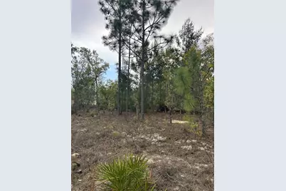 3528 W Nieman Drive, Dunnellon, FL 34433 - Photo 1