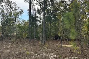 3528 W Nieman Dr, Dunnellon, FL 34433 - Photo 1