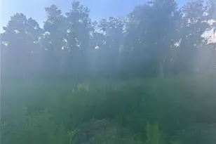 3528 W Nieman Dr, Dunnellon, FL 34433 - Photo 1