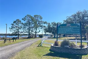 965 Pine Hill Blvd, Geneva, FL 32732 - Photo 65