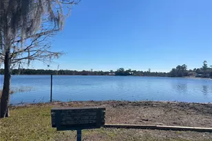 965 Pine Hill Blvd, Geneva, FL 32732 - Photo 67