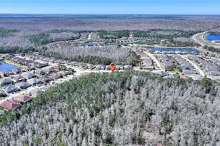 786 Cielo Trail, Kissimmee, FL 34759 - Photo 49