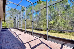 786 Cielo Trail, Kissimmee, FL 34759 - Photo 31