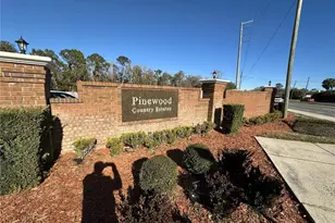 117 Cypress Landing St, Davenport, FL 33896 - Photo 29