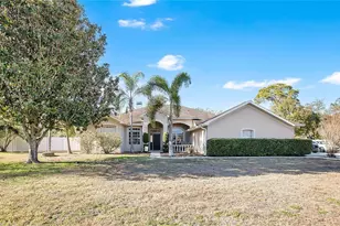 10003 Country Carriage Cir, Riverview, FL 33569 - Photo 1