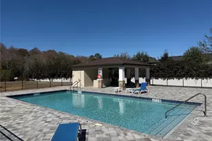 4437 Summer Flowers Pl, Kissimmee, FL 34746 - Photo 3