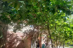 1315 W 9th St, Lakeland, FL 33805 - Photo 1