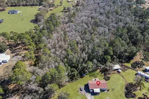 6222 Buck Fever Rd, Polk City, FL 33868 - Photo 31