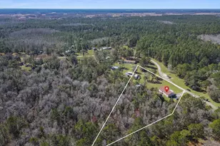 6222 Buck Fever Rd, Polk City, FL 33868 - Photo 27