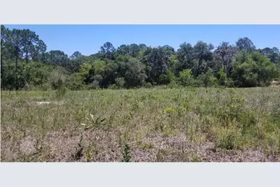 316 Bass Lane, Kissimmee, FL 34759 - Photo 1