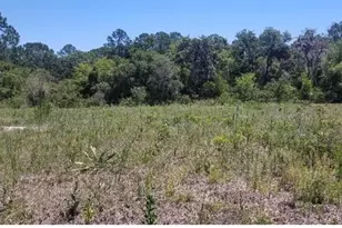 316 Bass Ln, Kissimmee, FL 34759 - Photo 1