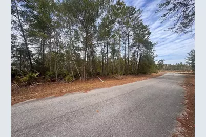 Malauka Lane Pass, Ocklawaha, FL 32179 - Photo 9