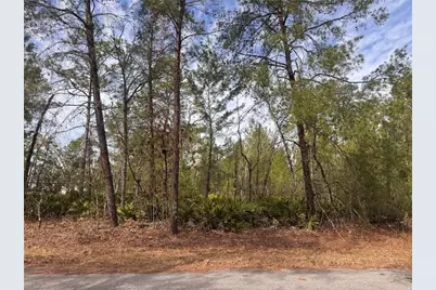 Malauka Lane Pass, Ocklawaha, FL 32179 - Photo 1