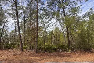 Malauka Ln Pass, Ocklawaha, FL 32179 - Photo 1