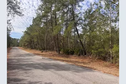 Malauka Lane Pass, Ocklawaha, FL 32179 - Photo 7