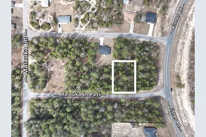 Malauka Lane Pass, Ocklawaha, FL 32179 - Photo 3