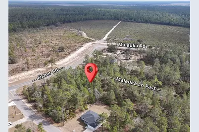 Malauka Lane Pass, Ocklawaha, FL 32179 - Photo 5