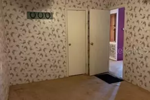 13921 Pine Meadow Rd, Kathleen, FL 33849 - Photo 19