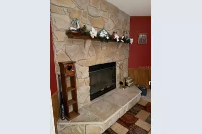 13921 Pine Meadow Road, Kathleen, FL 33849 - Photo 11