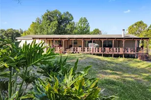 13921 Pine Meadow Rd, Kathleen, FL 33849 - Photo 3