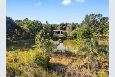 13921 Pine Meadow Road, Kathleen, FL 33849 - Photo 5