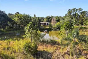 13921 Pine Meadow Rd, Kathleen, FL 33849 - Photo 5