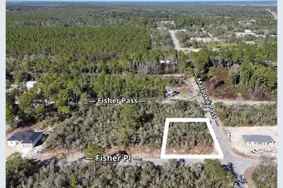 Fisher Pass, Ocklawaha, FL 32179 - Photo 5