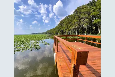 15618 SE US Highway 301, Hawthorne, FL 32640 - Photo 35