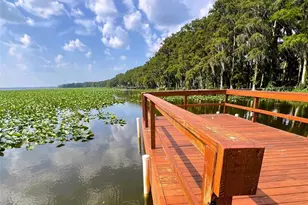 15618 SE US Hwy 301, Hawthorne, FL 32640 - Photo 35