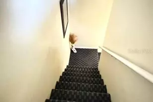 3197 Sea World Ct, Kissimmee, FL 34746 - Photo 15