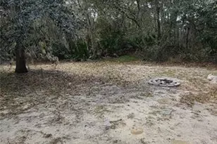 1408 Hillsborough Way, Poinciana, FL 34759 - Photo 19