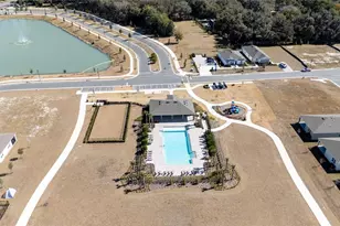 955 Bear Hammock Dr, Umatilla, FL 32784 - Photo 7