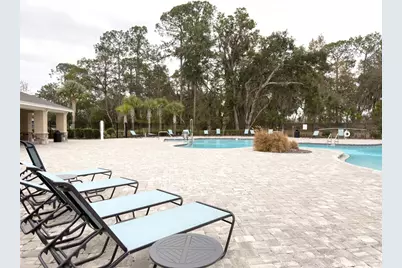 3168 Goose Road, Davenport, FL 33837 - Photo 35