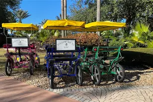 1161 Grand Traverse Pkwy, Reunion, FL 34747 - Photo 11